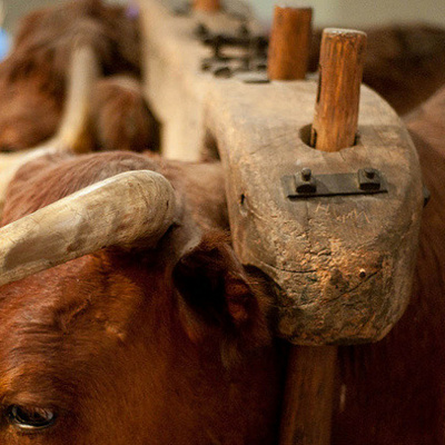 Episcopal Church Of All Saints, Indianapolis