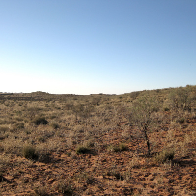 Episcopal Church Of All Saints, Indianapolis