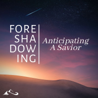 The New Covenant Experience