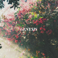 Genesis 2 v 18 - 25 | Andy Cottingham | Sunday 28th February 2021