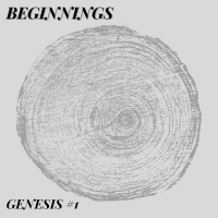 Beginnings | Genesis #1 | Andy Cottingham | Sunday 10th January 2021