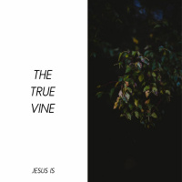 Jesus Is The True Vine | Andy Cottingham