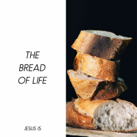 The Bread Of Life | Andy Cottingham