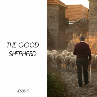 The Good Shepherd | Ash George