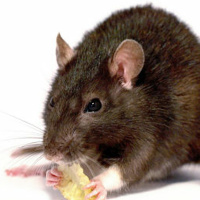 Ep. #14 - Your Money Is No Good Here