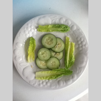 Sensible Nuts Episode 1