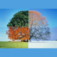 Episode #12 Are you breaking these off season rules?