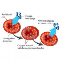 #6 Cure for athletes foot, How to build blood oxygen capacity,What fingernail moons represent, Libido boosting foods, What is adrenal fatigue?