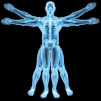 Episode #17 Does Body Symmetry Predict Your Health, Emotional, And Performance Potential?