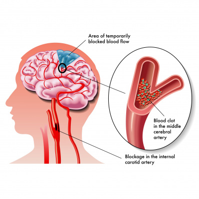 Structural Performance Podcast