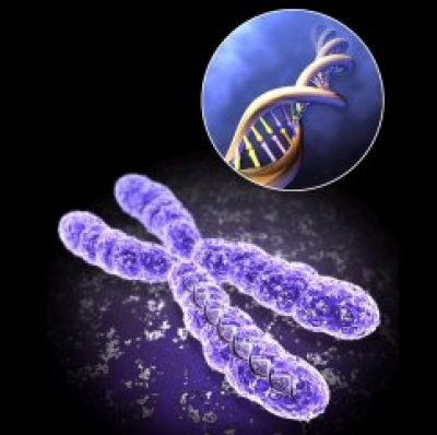 Structural Performance Podcast