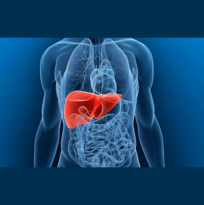 Structural Performance Podcast