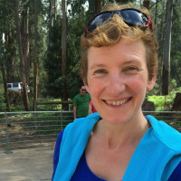 Building Cohesive Virtual Teams