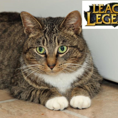 Super Smash Broadcast