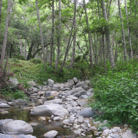 All is well, all is done