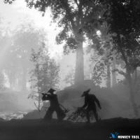 190: I wing most things, most of the time on most days