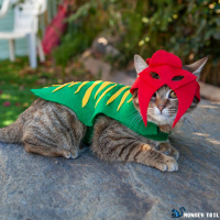 170: You know the game