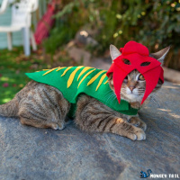 170: You know the game