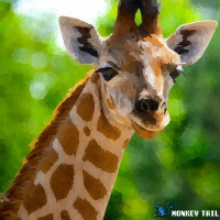 182: Giraffe nightmares