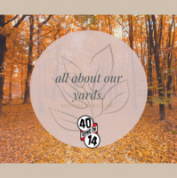 All about our yards…