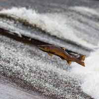 The Struggle is Real