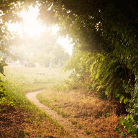 #763: No You Don’t Have To