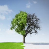 Change Your Attachment Style to Attract What You Want