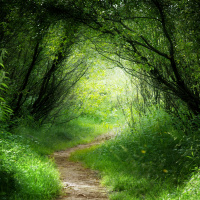 How Can I Let Go of My Fantasy Situation?