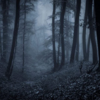 #783: Fear is My Attractor (REBROADCAST)