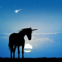 Journey Of Attachment: The Search for Unicorns