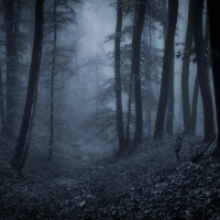 Journey of Attraction: Fear is My Attractor