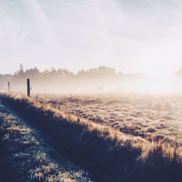 Journey of Attachment: Setting Boundaries