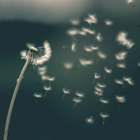 Journey of Attachment: When You’re Attached, There’s Only Room In the Relationship For You