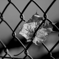 Personalizing Keeps You Stuck in a Dysfunctional Relationship (REBROADCAST)