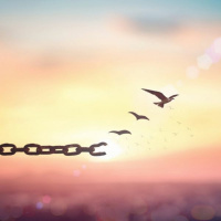 Freedom from Attachment: You Can’t Take It Anymore… Yet You Stay