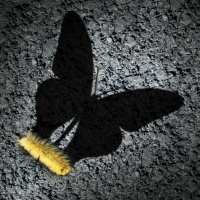 You Want To Change? How To Tell if You Are Actually Ready!