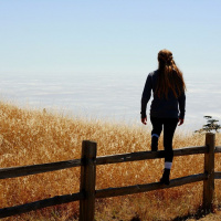 Journey of Attachment: In Or Out, Get Off The Fence