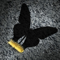 #729: You Want To Change? How To Tell If You Are Actually Ready! (REBROADCAST)