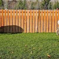 What Happens When You Avoid Confrontation?