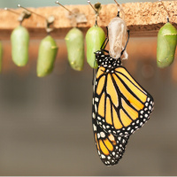 Journey Of Attachment: Change Is Not Wrong or Bad Just Because You Don’t Like It