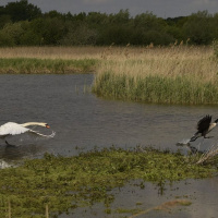 Journey of Attachment: Being An Anxious Pursuer In Relationships