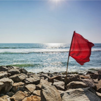 Freedom from Attachment: Ignoring Red Flags Because You See the Good