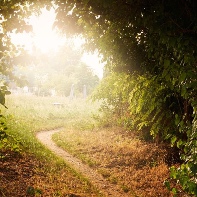 Simply Abundant Intuitive