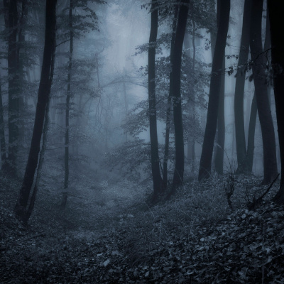 Simply Abundant Intuitive