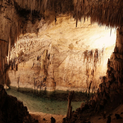 Simply Abundant Intuitive