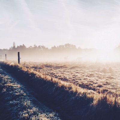 Simply Abundant Intuitive