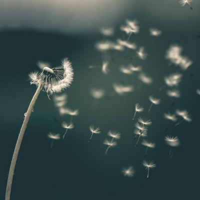 Simply Abundant Intuitive