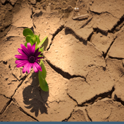 Simply Abundant Intuitive