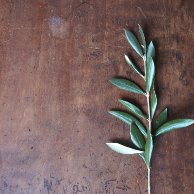 Simply Abundant Intuitive