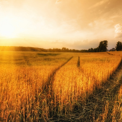 Simply Abundant Intuitive